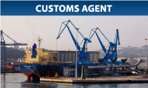 Customs  Agent
