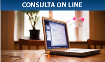 Consulta On Line