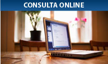 Consulta Online